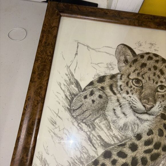 Framed Print Leopard Cub by Samara Seera 18.5 x 22.5” Big Cats African Safari - Picture 8 of 11